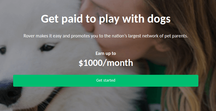 make money walking dogs rover