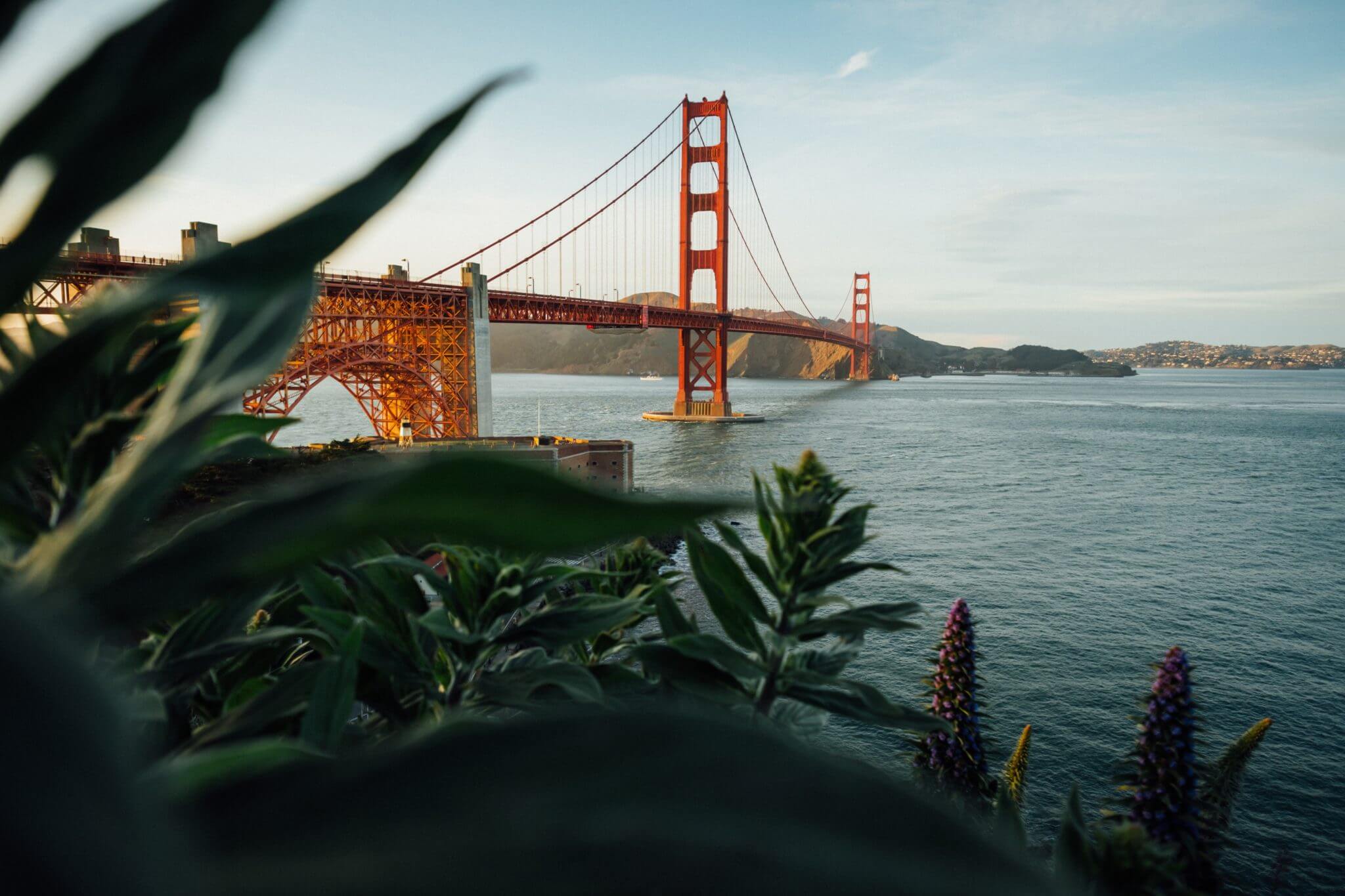 The City-by-City Guide to Ordering Grubhub - West Coast