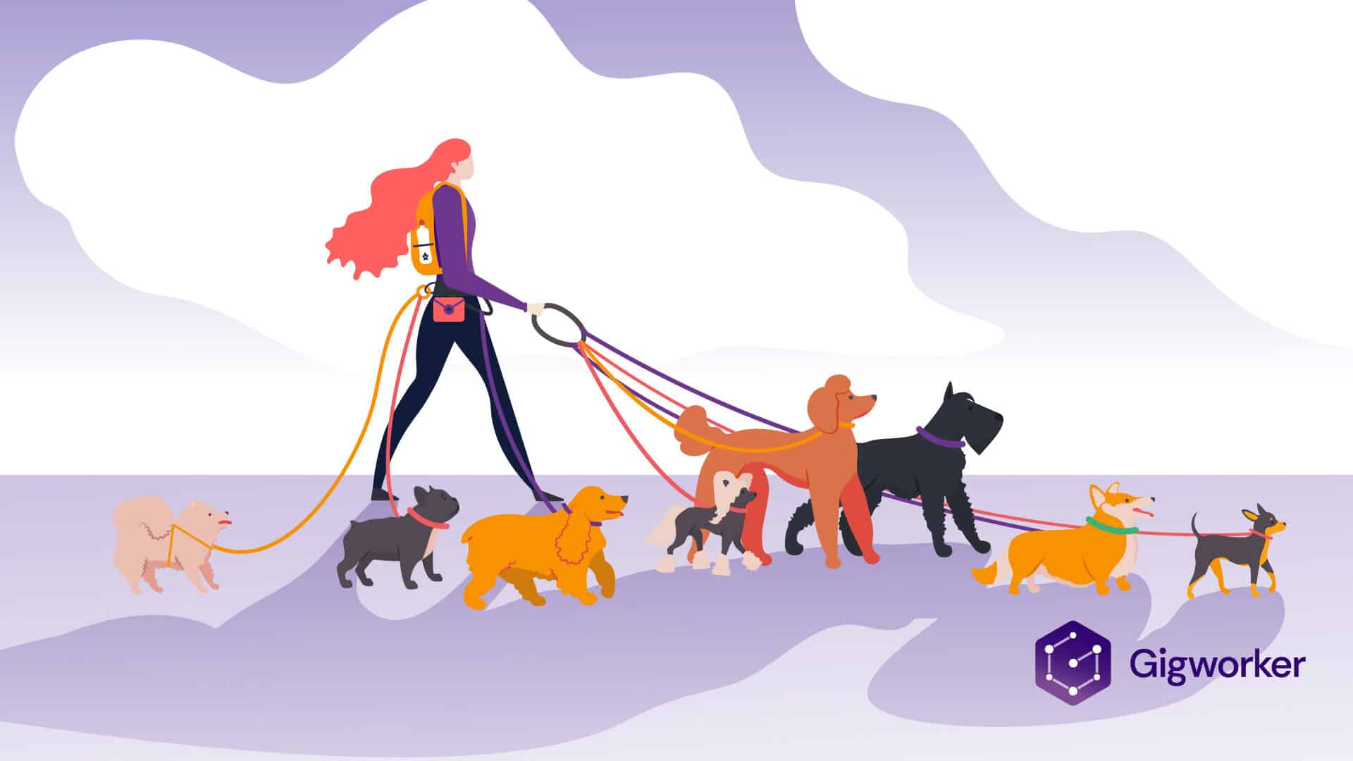 vector graphic showing an illustration of a woman walking dogs for a job