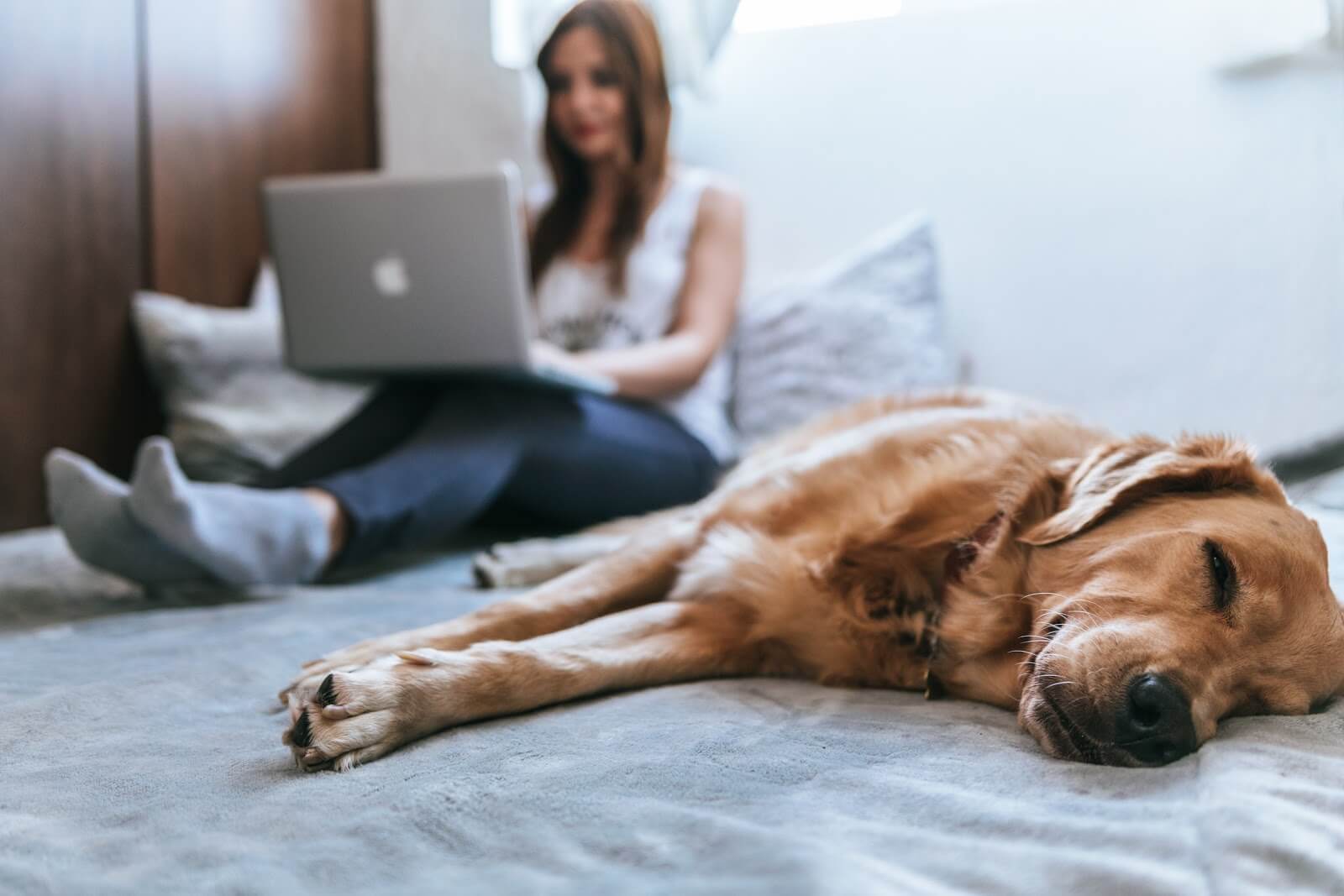 Woman sitting next to sleeping dog for her pet care side job