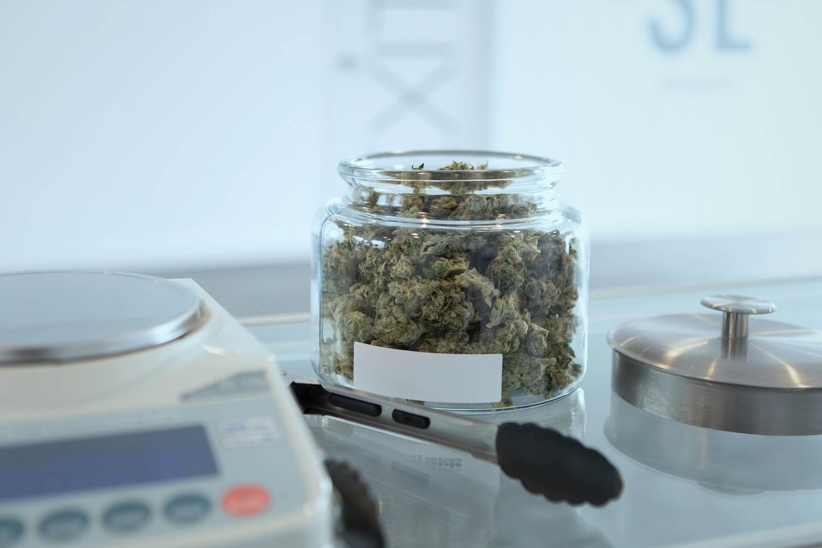Finding a cannabis job