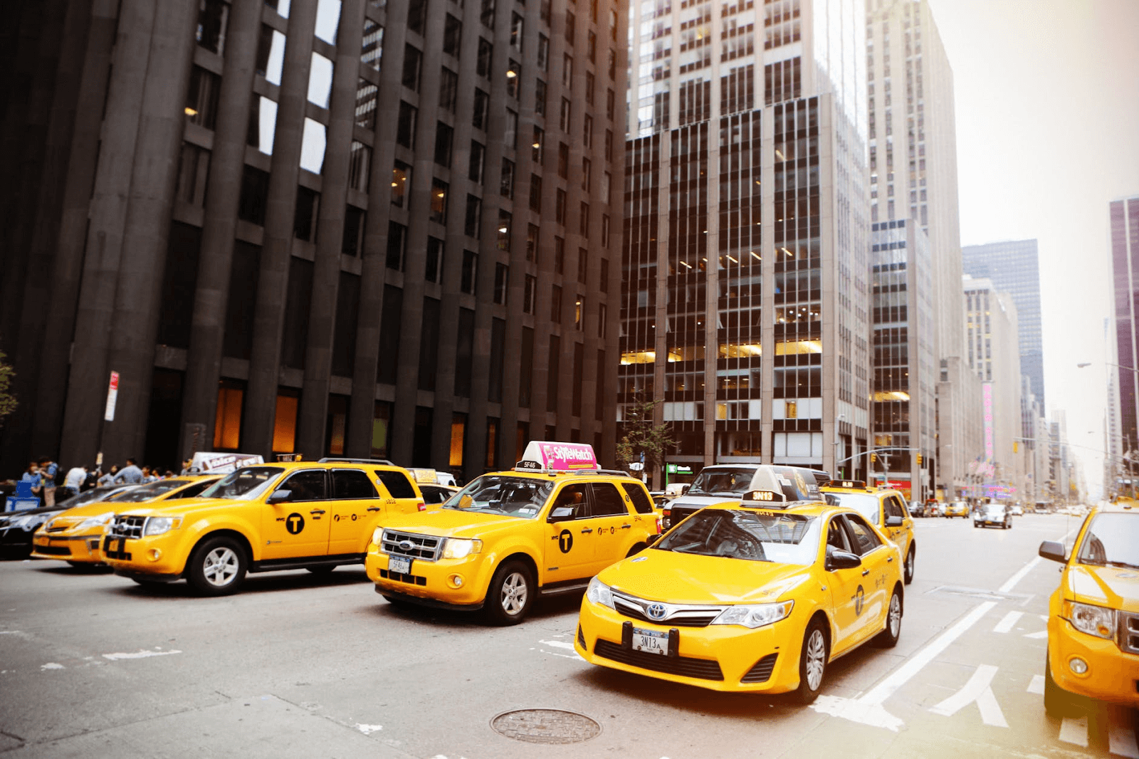 Row of yellow taxis