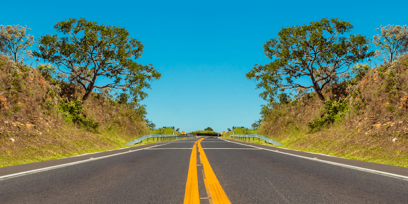 Empty road with trees on the side