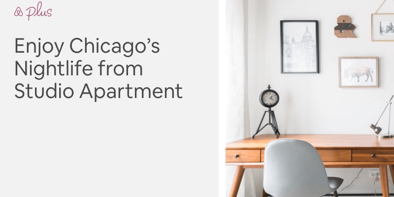 Chicago Airbnb Plus studio apartment