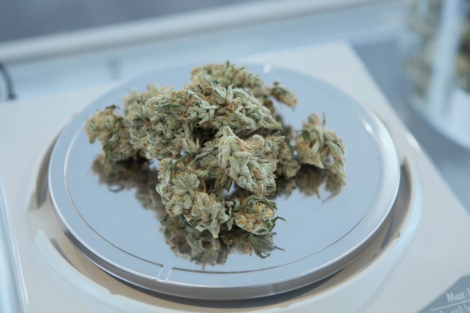 Marijuana delivery: bud on a scale