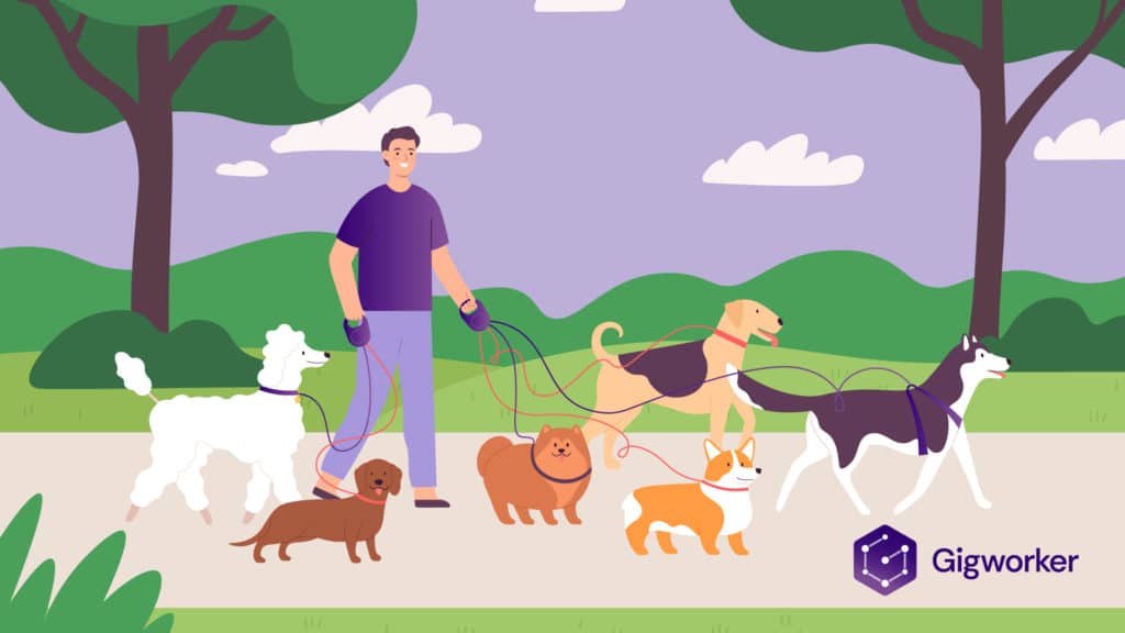 vector graphic showing an illustration of how to become a dog walker