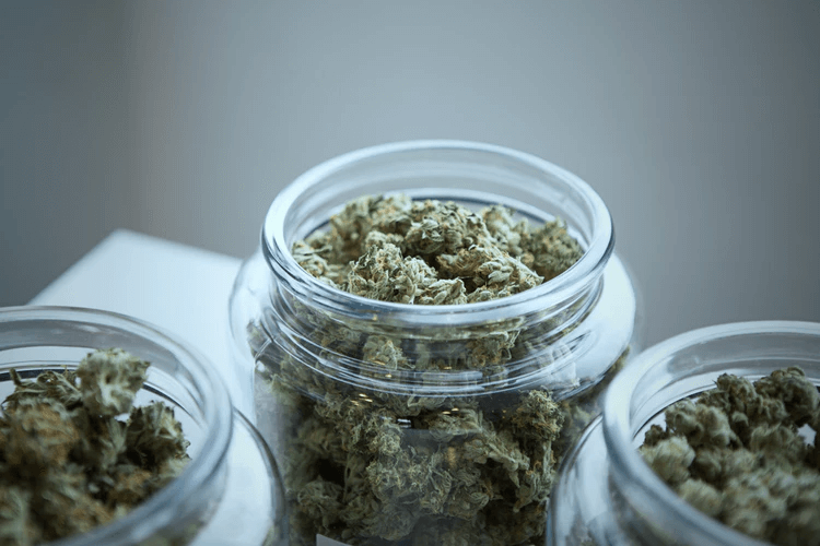 Eaze: jars of marijuana flower