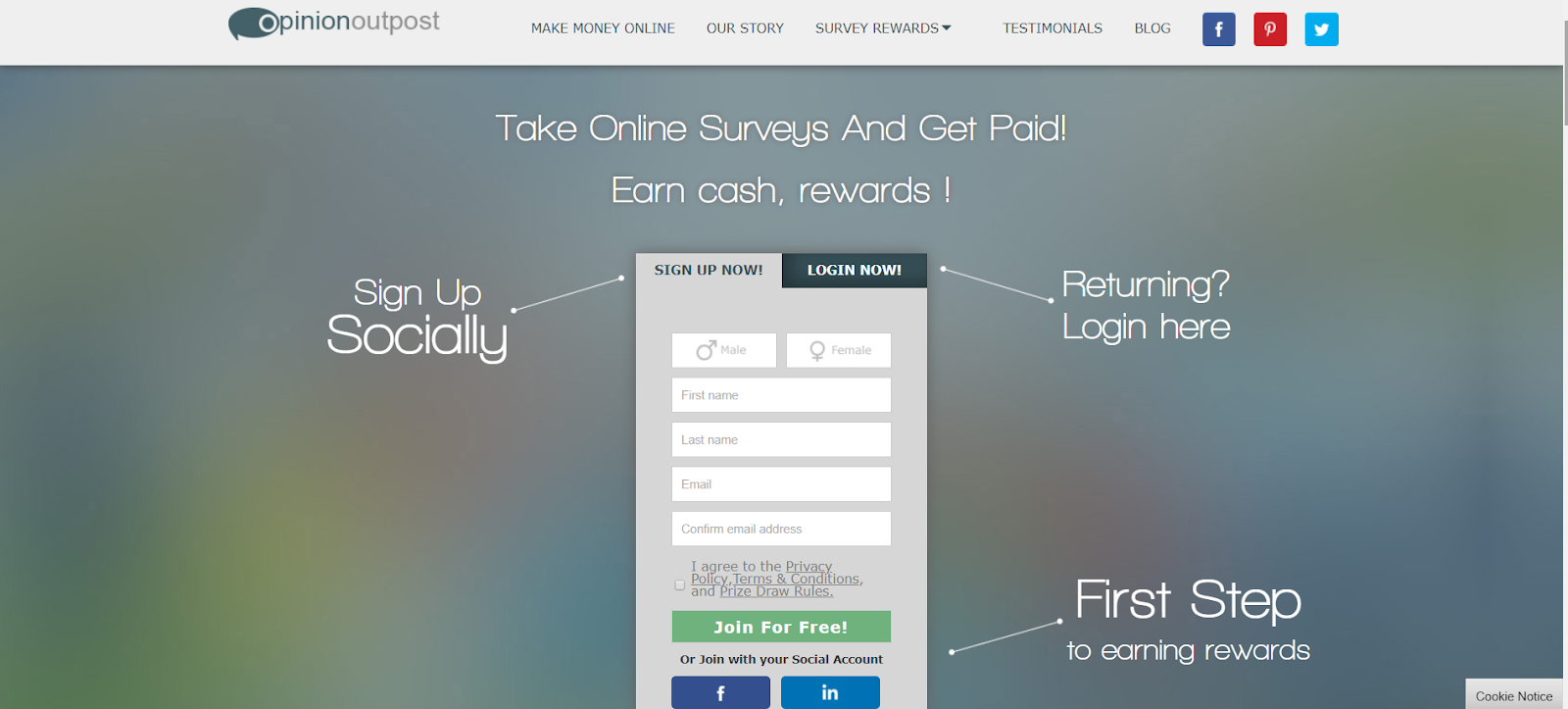 Opinion Outpost: the company's homepage