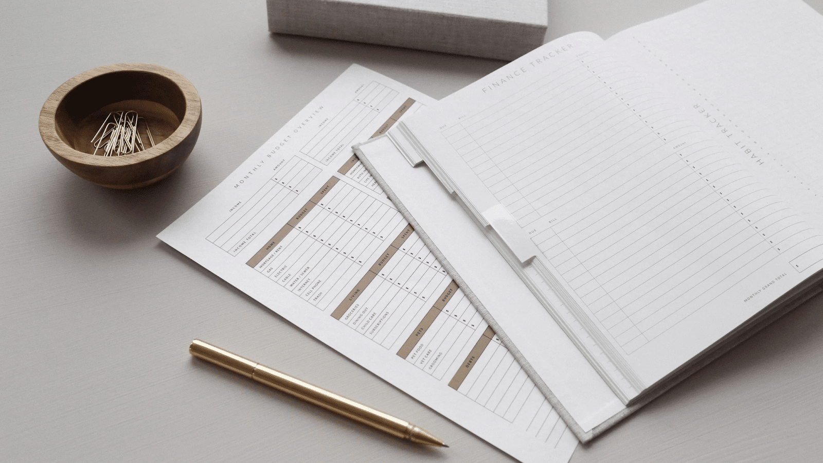 What is a financial statement: open files with a pen and paper clips