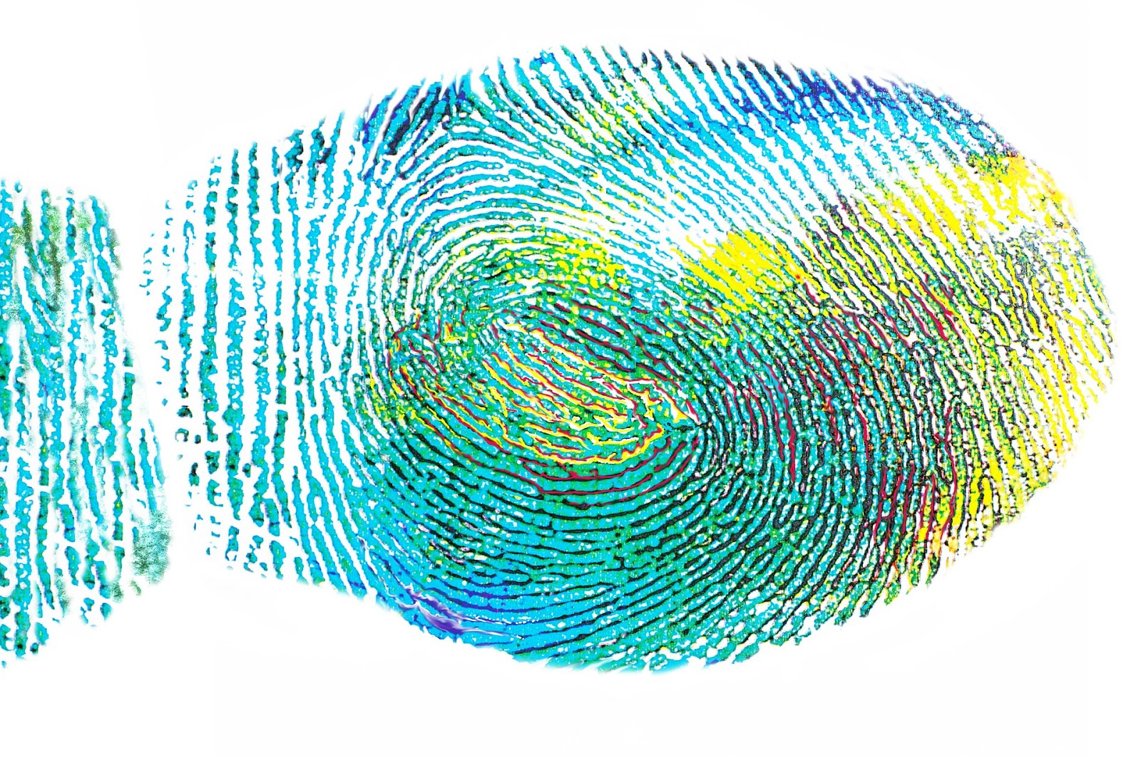 A digital fingerprint scan, like what's used to clock-in with uAttend