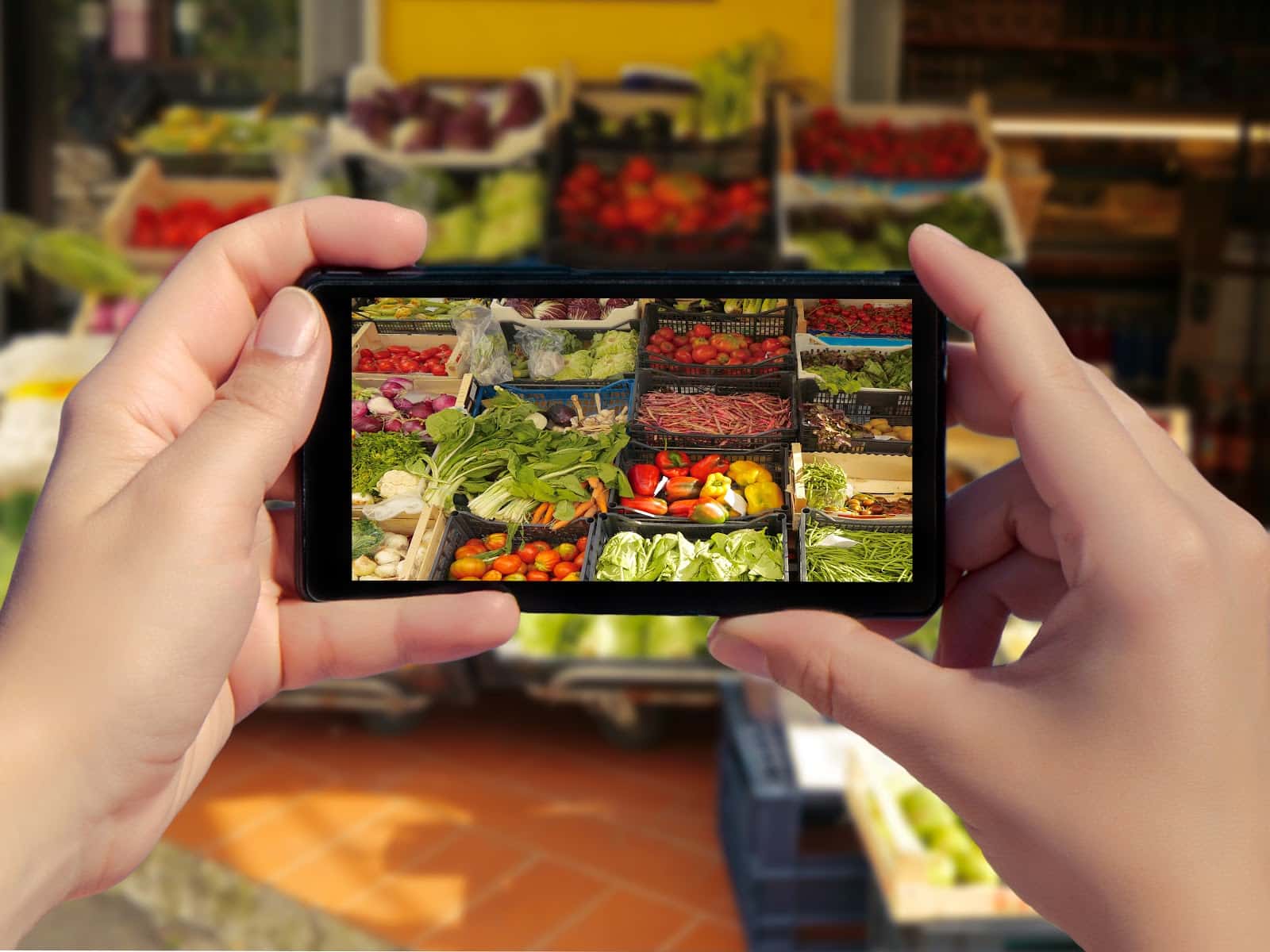 smartphone taking photo of groceries