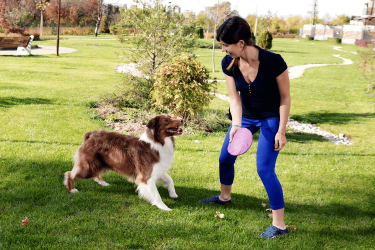 A female dog trainer playing with a dog in the garden