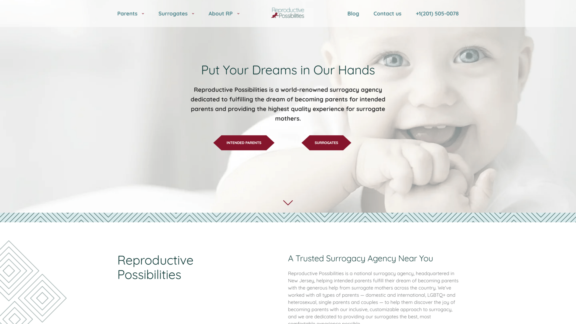 screenshot reproductive possibilities homepage