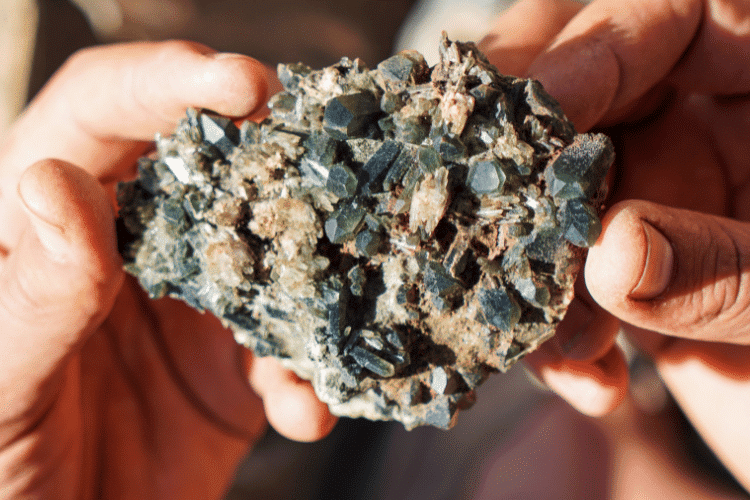A close-up of a man holding a stone-iron Meteorite