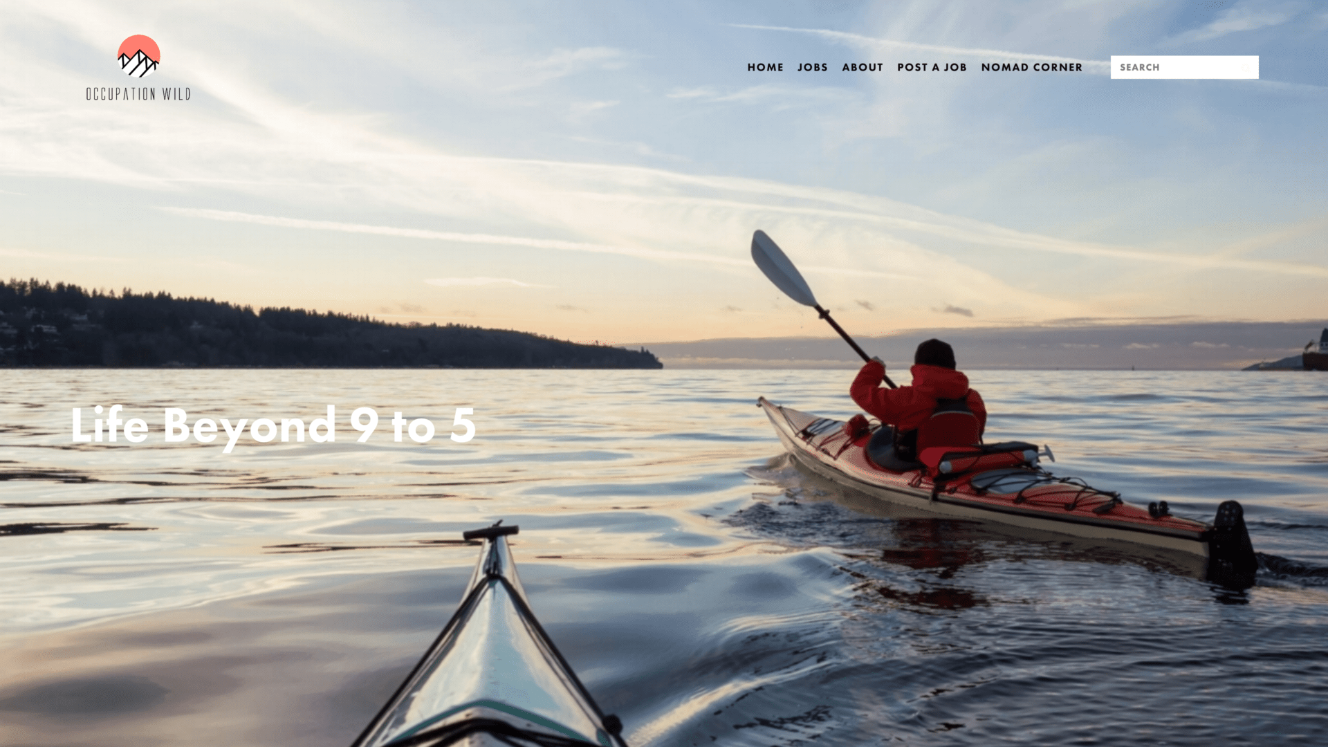 a screenshot of the occupationwild homepage