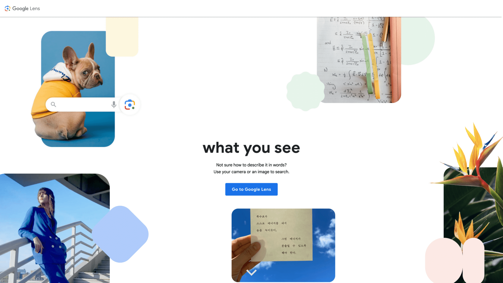 a screenshot of Google Lens homepage